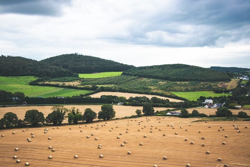 Countryside landscape in Ireland